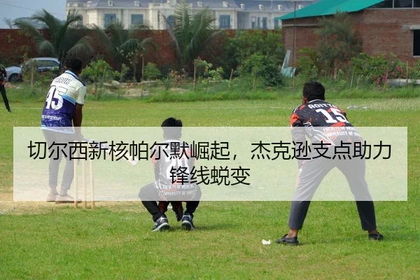 qie-er-xi-xin-he-pa-er-mo-jue-qi-jie-ke-xun-zhi-dian-zhu-li-feng-xian-tui-bian-2-491.jpg